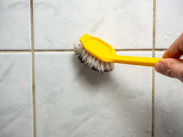 Best Residential Mold Removal  in Urbana, IL