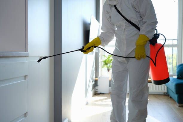 Best Mold Testing and Removal  in Urbana, IL